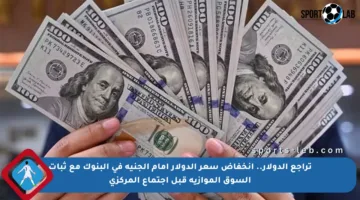تراجع الدولار.. انخفاض سعر الدولار أمام الجنيه في البنوك مع ثبات السوق الموازية قبل اجتماع المركزي